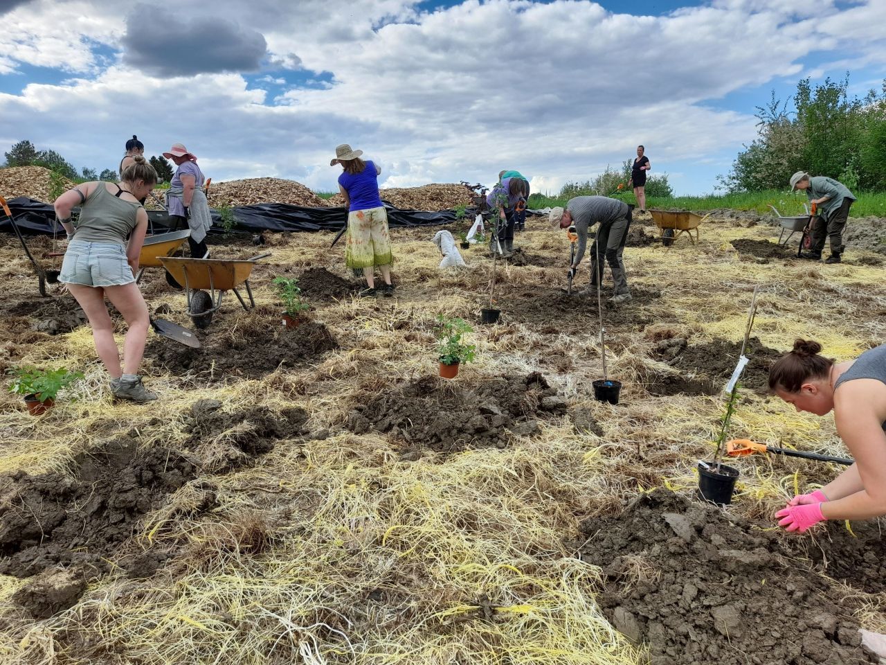 Käytännönläheisiä ja voimaannuttavia kursseja ja koulutuksia metsäpuutarhoista sekä maaperän elämän vaalimisesta. Kanssamme opit viljelemään omavaraisesti ja perustamaan monimuotoisia ja yltäkylläisiä puutarhoja, työskennellen yhdessä luonnon kanssa.
